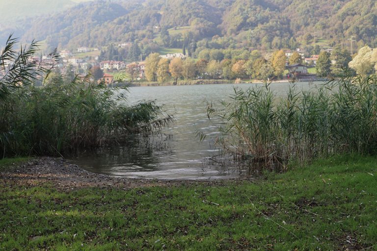 La Laguna Carp Fishing