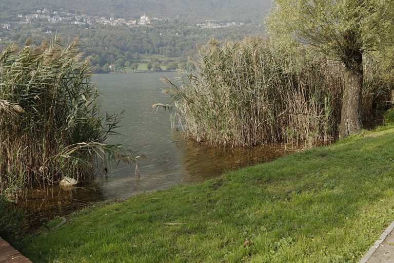 Carp Fishing presso Il Pontile